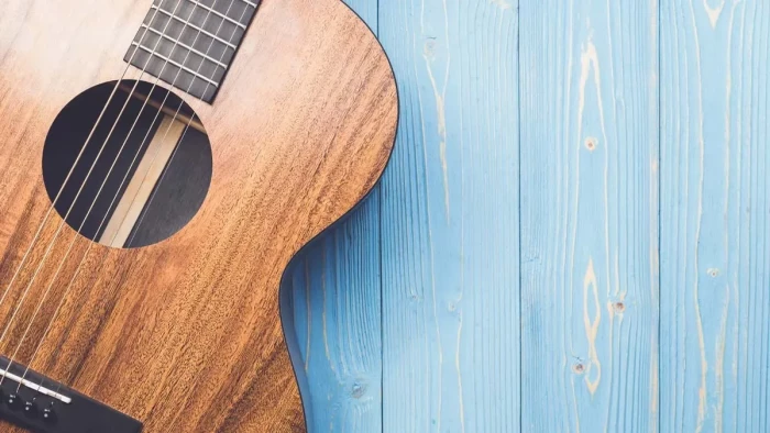 What Is an Acoustic Guitar?