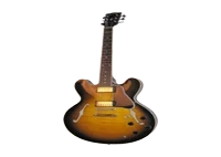 Semi-hollowbody Guitars