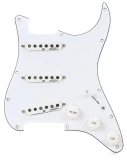 Jimi Hendrix Signature Loaded Pickguard - "Voodoo" Style