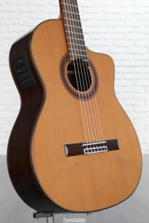 Cordoba C7-CE, Nylon String - Cedar