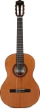 Cordoba Cadete, 3/4 size Nylon String - Cedar