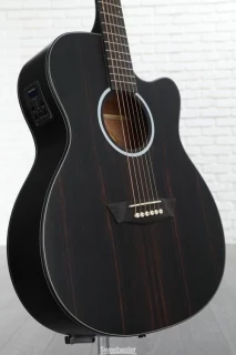 Washburn Deep Forest Ebony ACE