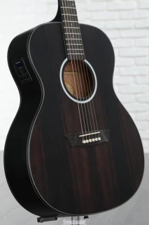 Washburn Deep Forest Ebony FE - Natural