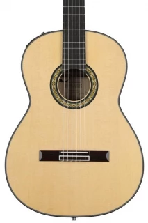 Takamine TH8SS - Natural