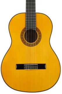 Washburn Classical C40 Nylon String - Natural