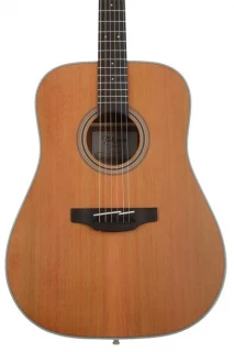 Takamine GD20 - Natural Satin