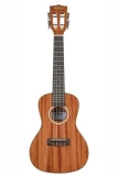 Kala Solid Mahogany Concert - Gloss Natural