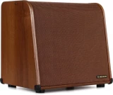 Harmony V100 100-watt 2-channel Acoustic Amplifier