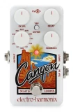 Canyon Delay and Looper Pedal