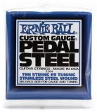 2504 Pedal Steel E9 Tuning Stainless Steel Guitar Strings - .013-.038 10-string