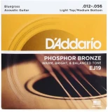 EJ19 Phosphor Bronze Acoustic Guitar Strings - .012-.056 Light Top/Heavy Bottom
