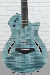 Taylor T5z Pro